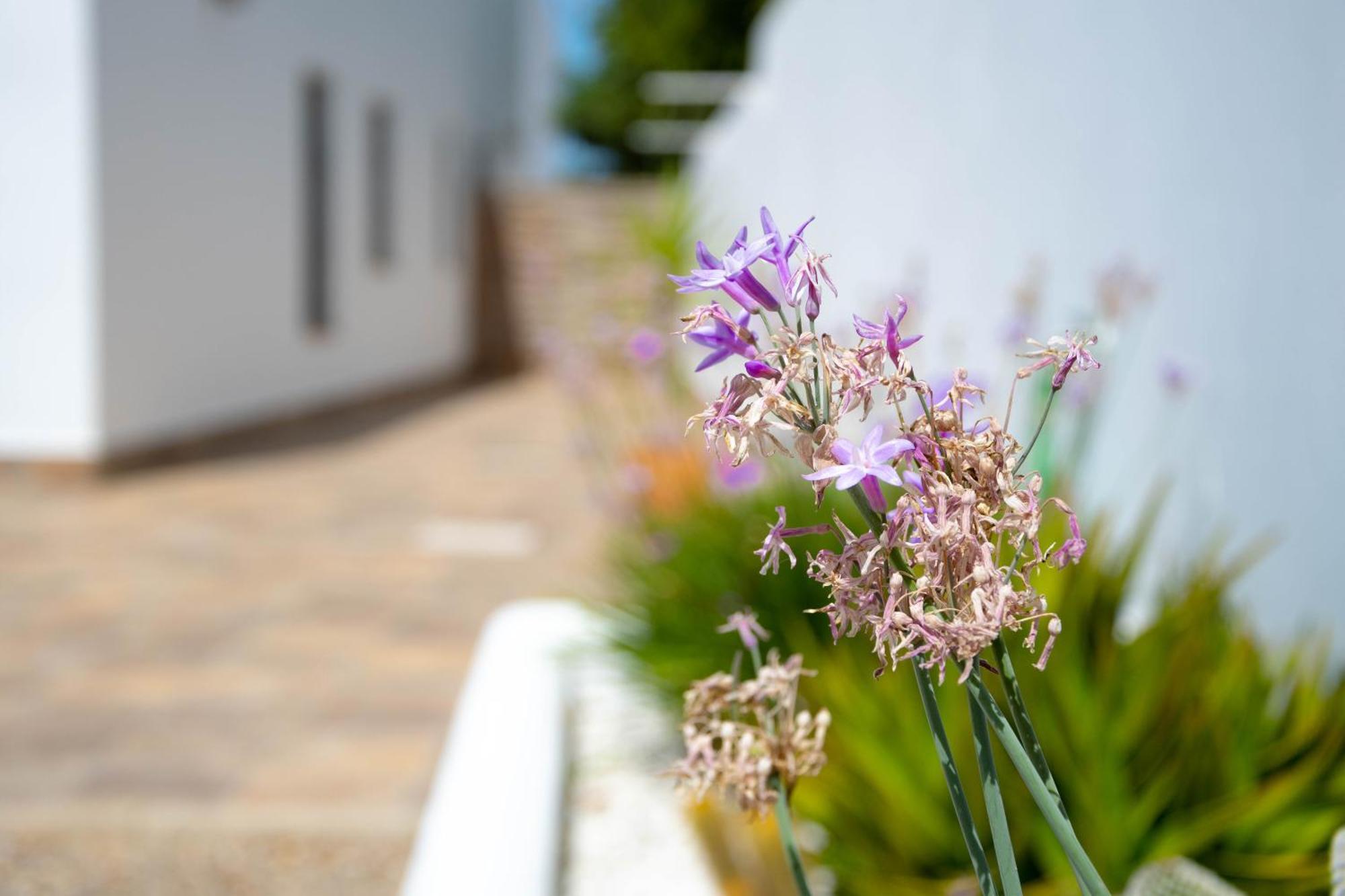 Apartamentos Rurales Conil De La Frontera Dış mekan fotoğraf